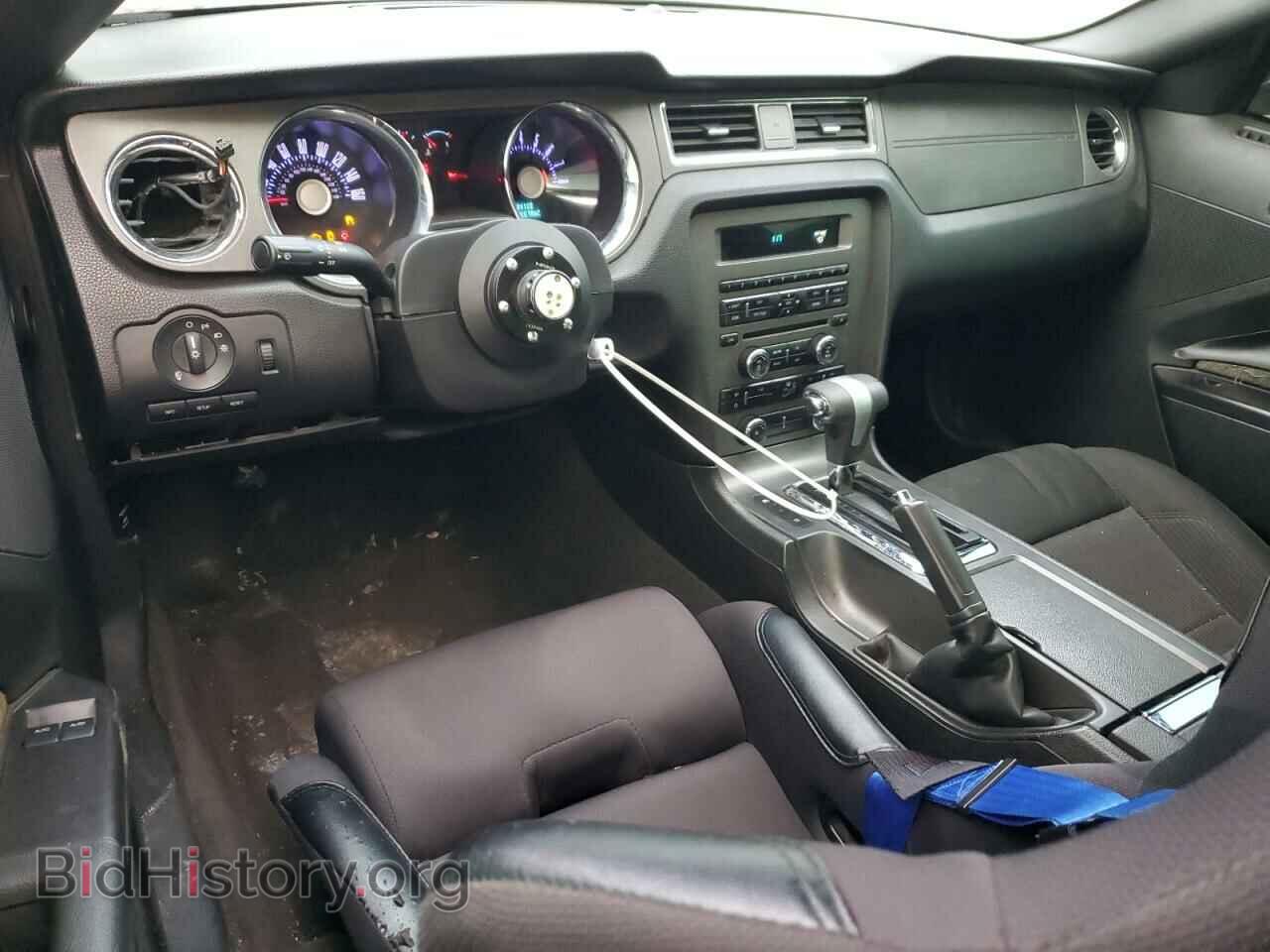 2011 FORD MUSTANG - VIN: 1ZVBP8CF7B5153576 - Photo 8