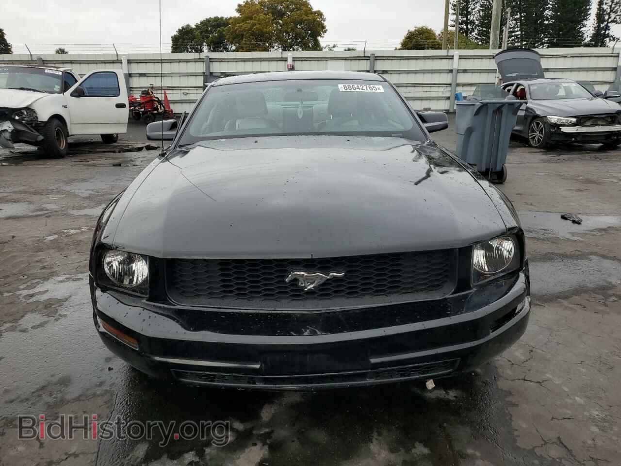 2005 FORD ALL Models - VIN: 1ZVFT80N455187259 - Photo 5