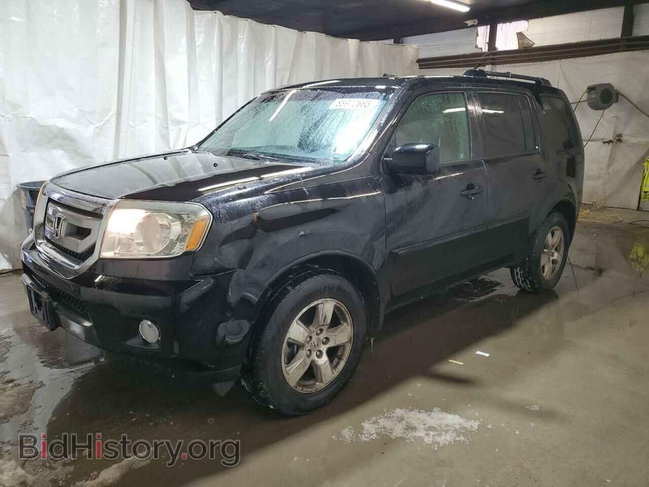 Photo 5FNYF4H55BB098066 - HONDA PILOT 2011