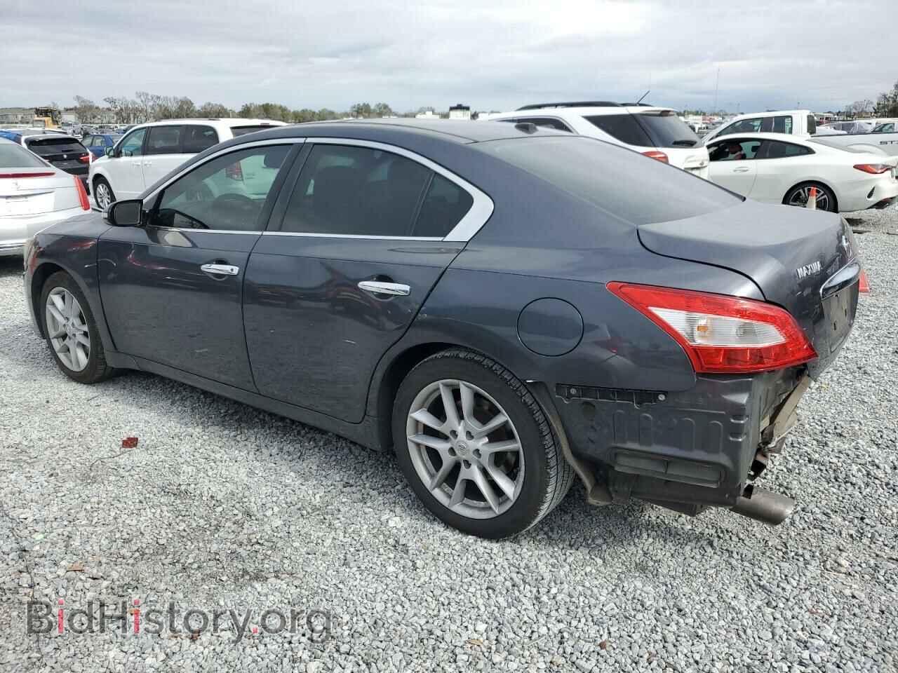 2010 NISSAN MAXIMA - VIN: 1N4AA5AP7AC830605 - Фото 2