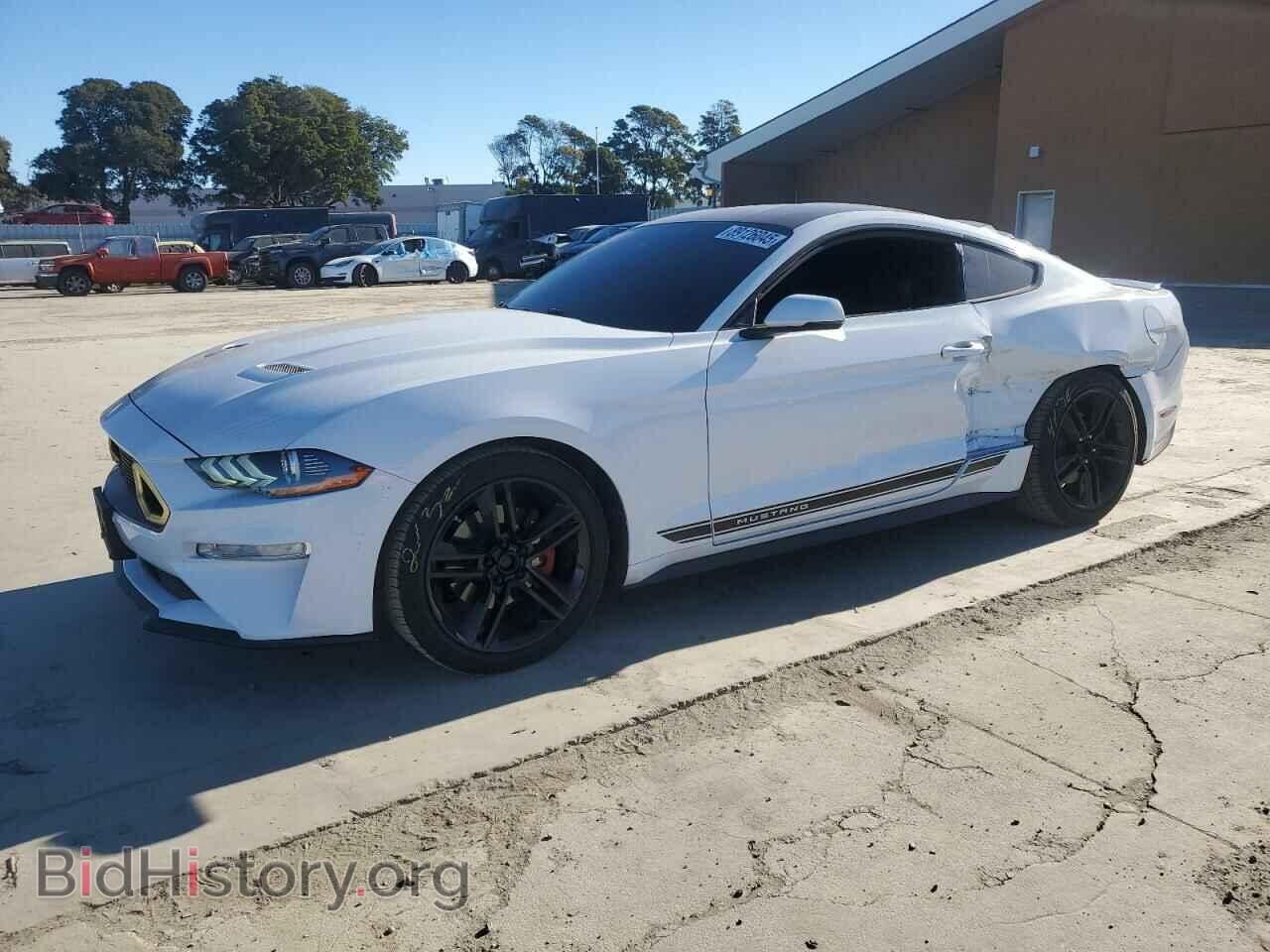 Фотография 1FA6P8TH7K5202724 - FORD ALL Models 2019