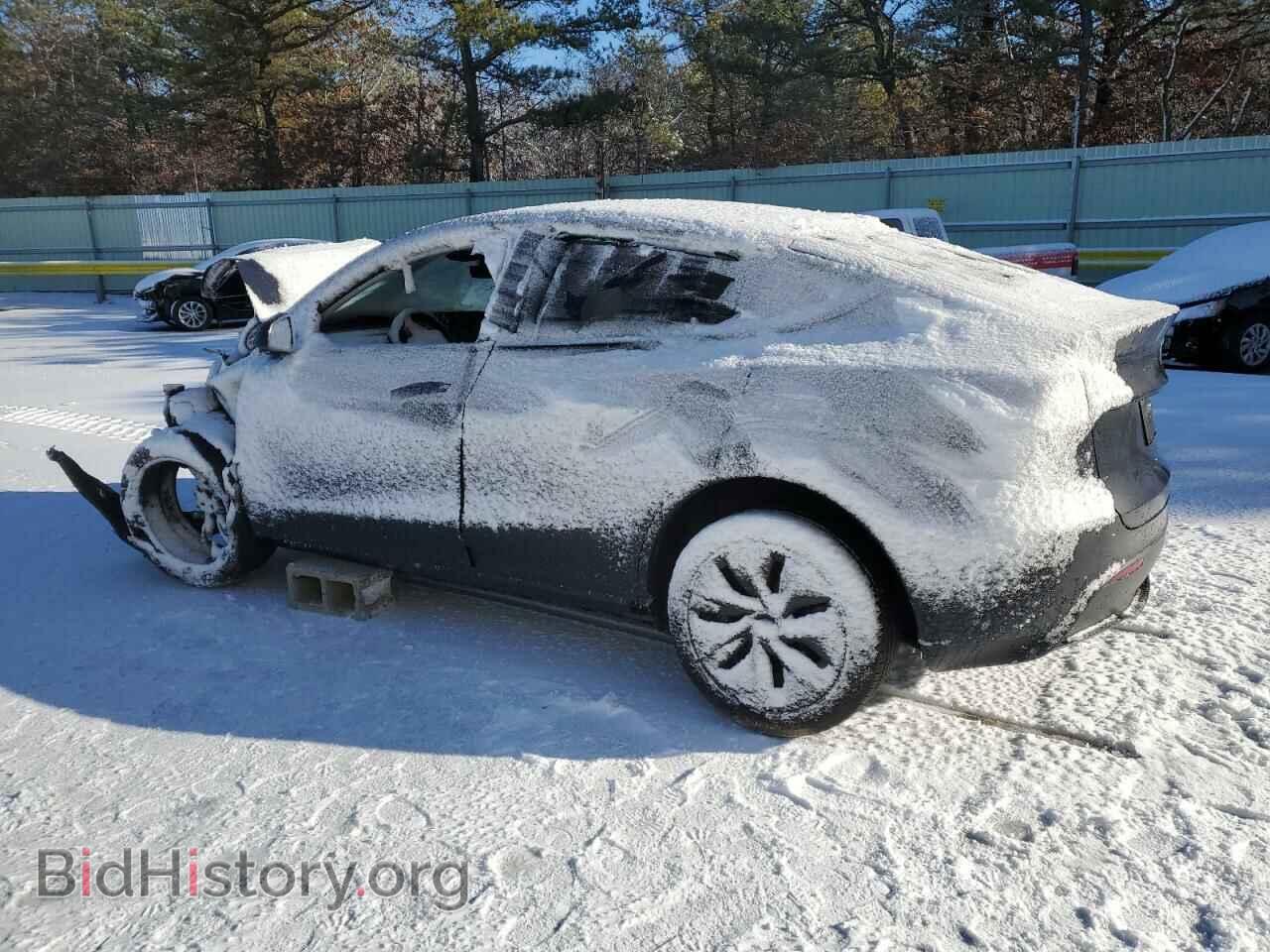 2024 TESLA MODEL Y - VIN: 7SAYGAEE3RF111295 - Фото 2