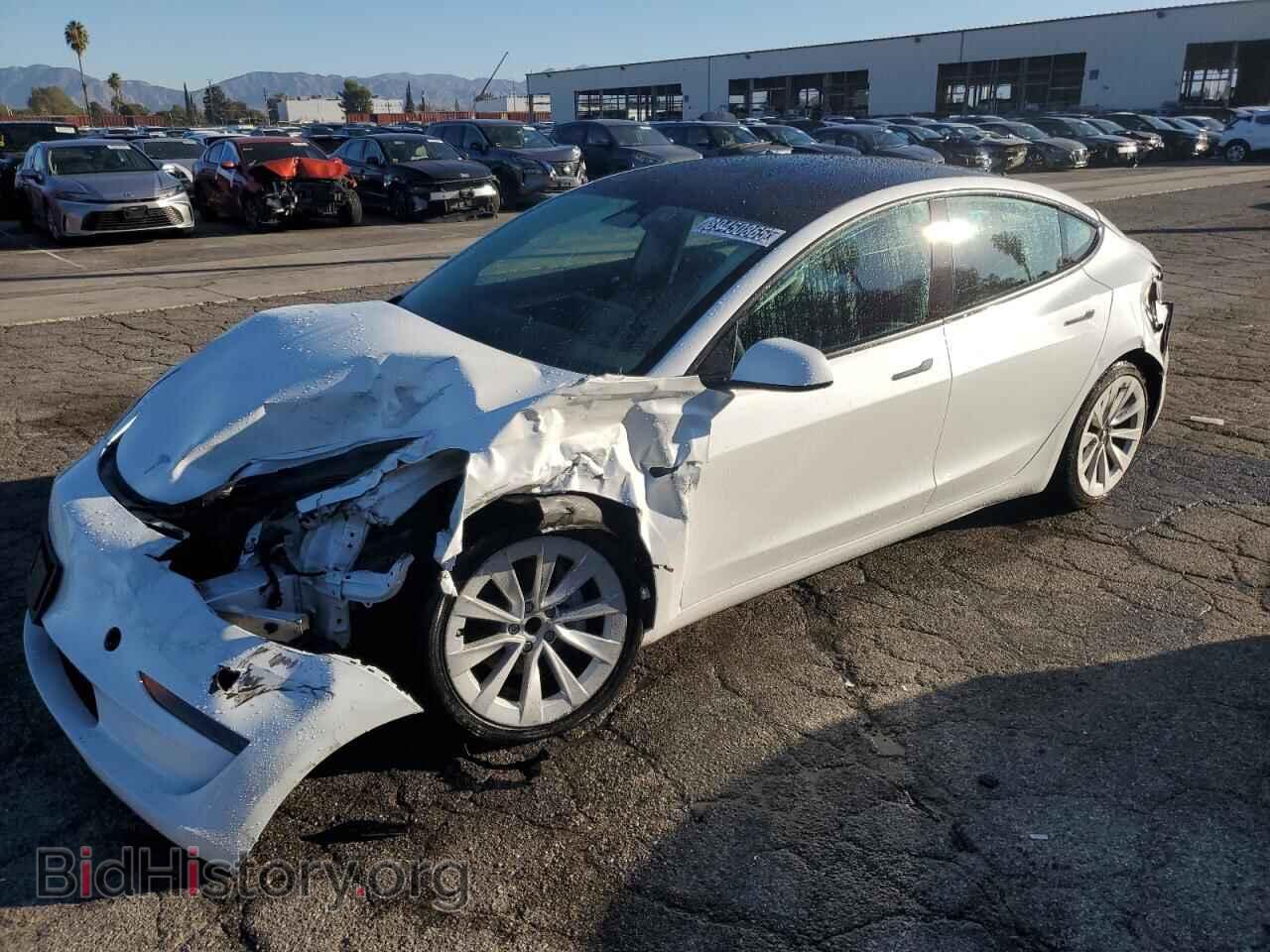 Photo 5YJ3E1EA7PF460449 - TESLA MODEL 3 2023