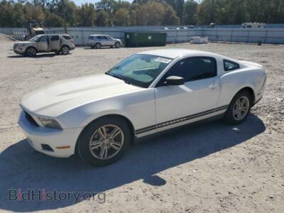 2012 Ford ALL MODELS, white — VIN 1ZVBP8AMXC5265694, Copart