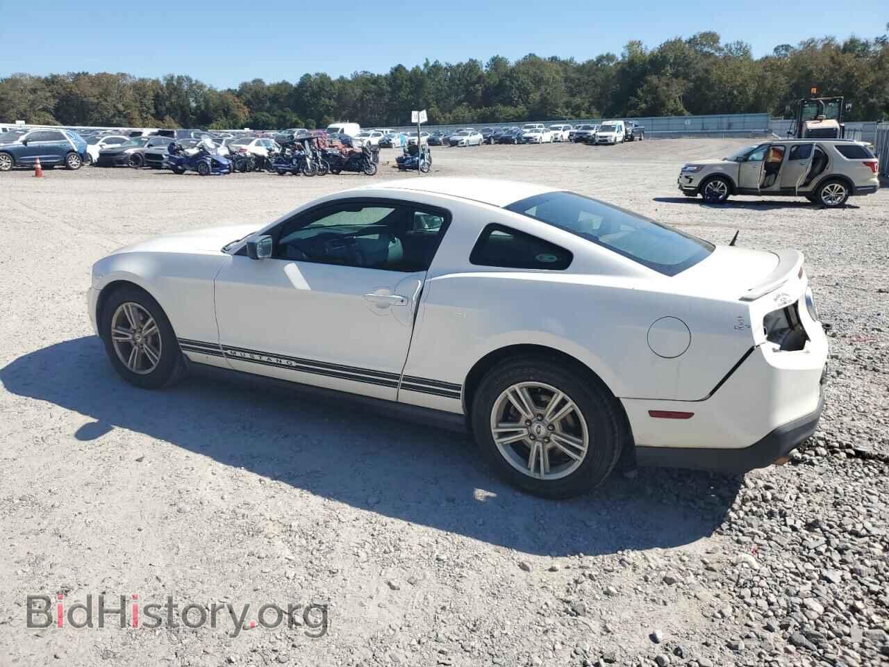 2012 FORD ALL Models - VIN: 1ZVBP8AMXC5265694 - Фото 2