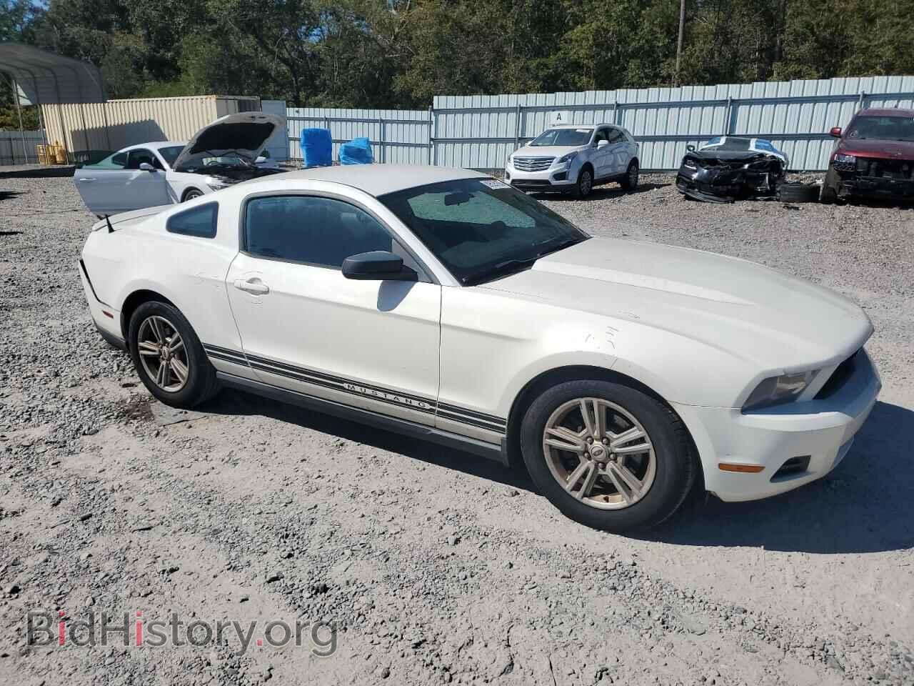 2012 FORD ALL Models - VIN: 1ZVBP8AMXC5265694 - Фото 4