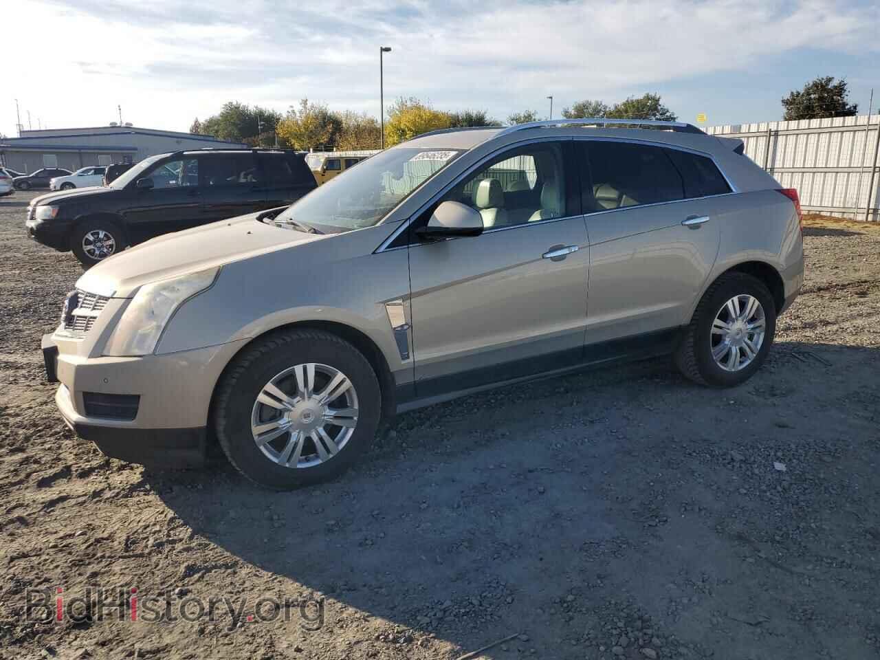 Photo 3GYFNAEY3BS680613 - CADILLAC SRX 2011
