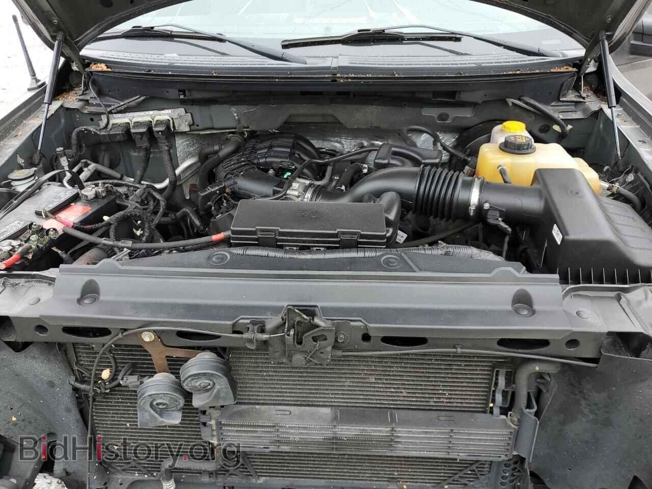 2014 FORD All Models - VIN: 1FTMF1CM2EFB33917 - Фото 11