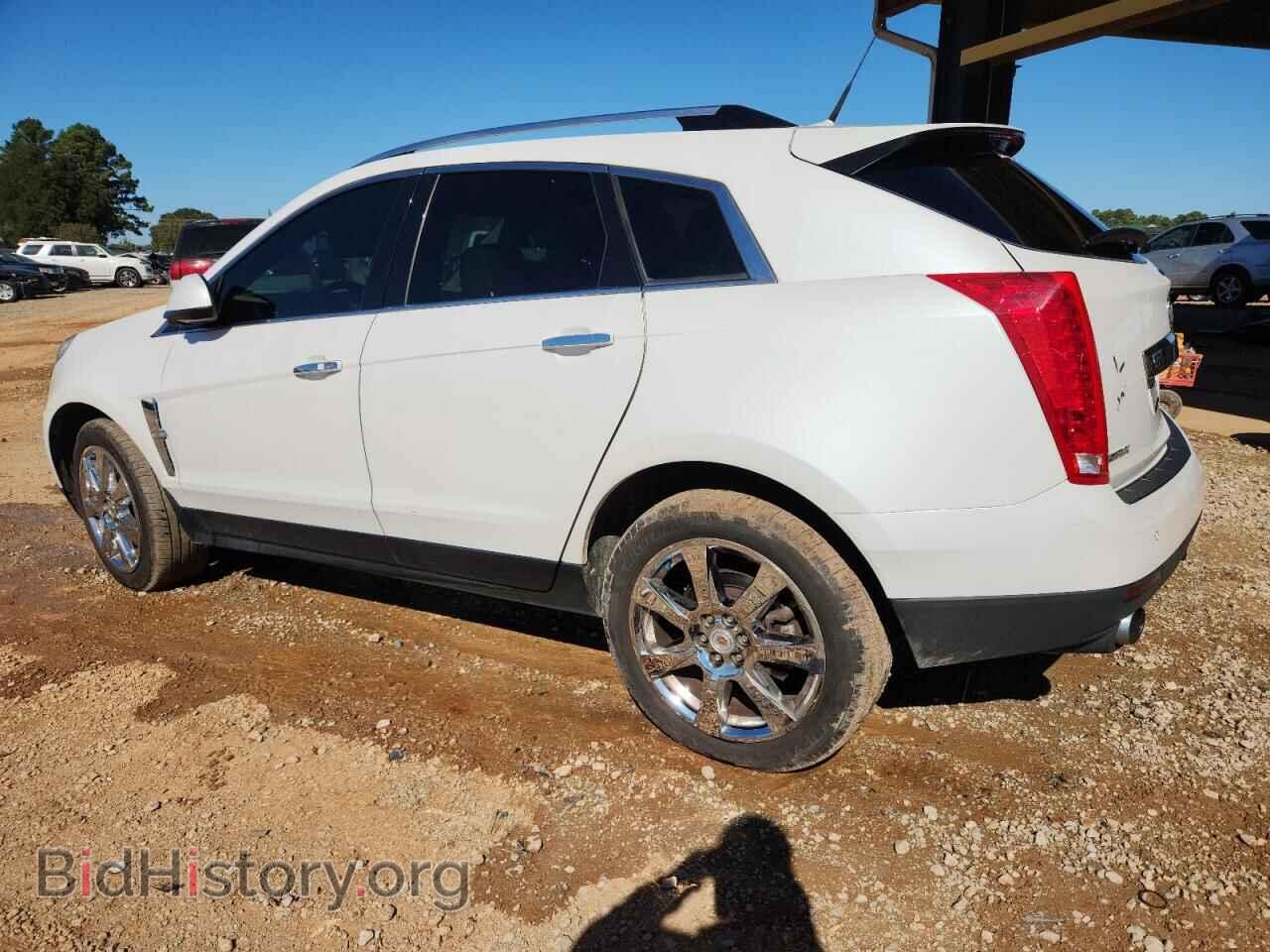 2011 CADILLAC SRX - VIN: 3GYFNCEY5BS527789 - Фото 2