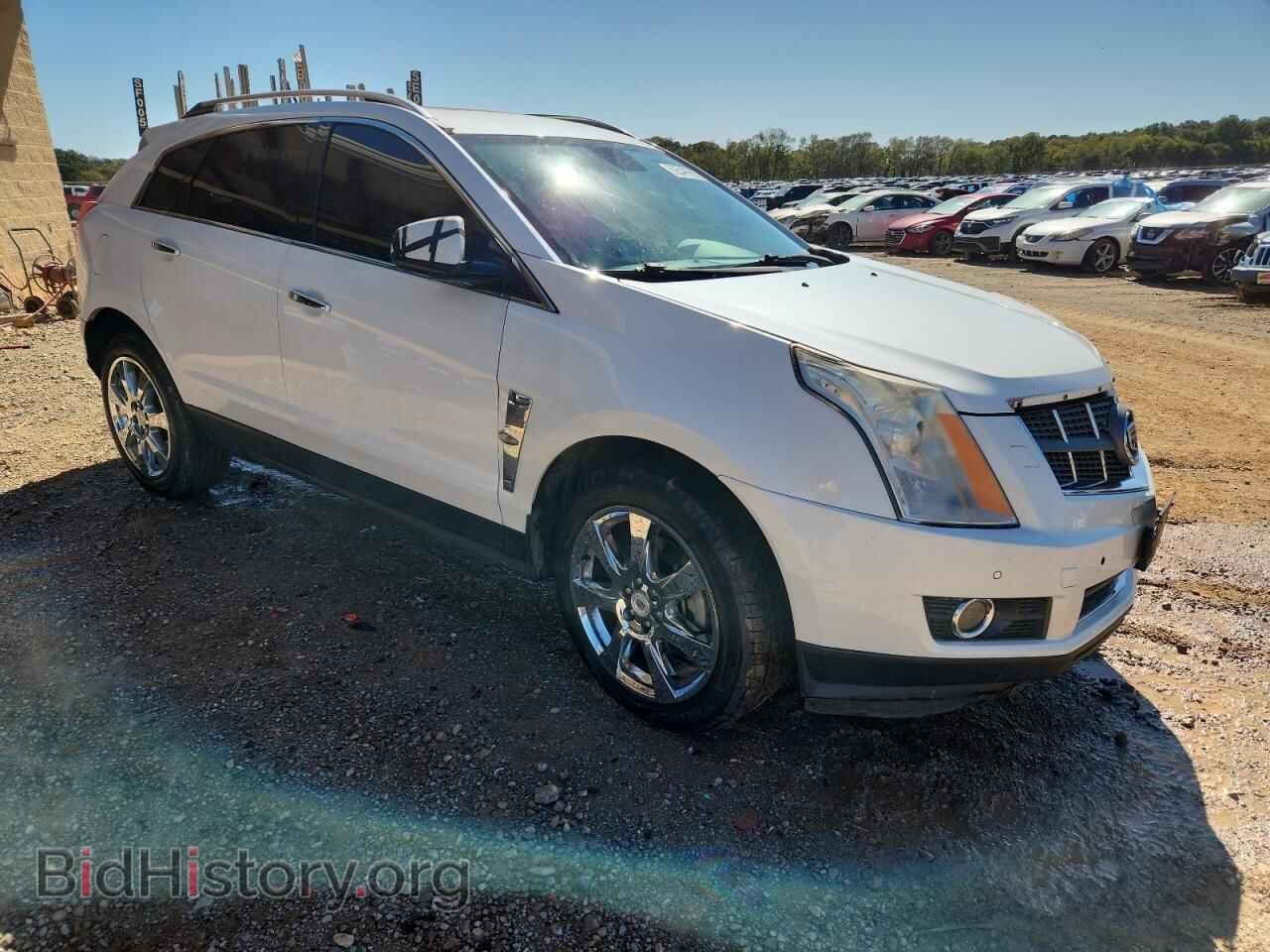 2011 CADILLAC SRX - VIN: 3GYFNCEY5BS527789 - Фото 4