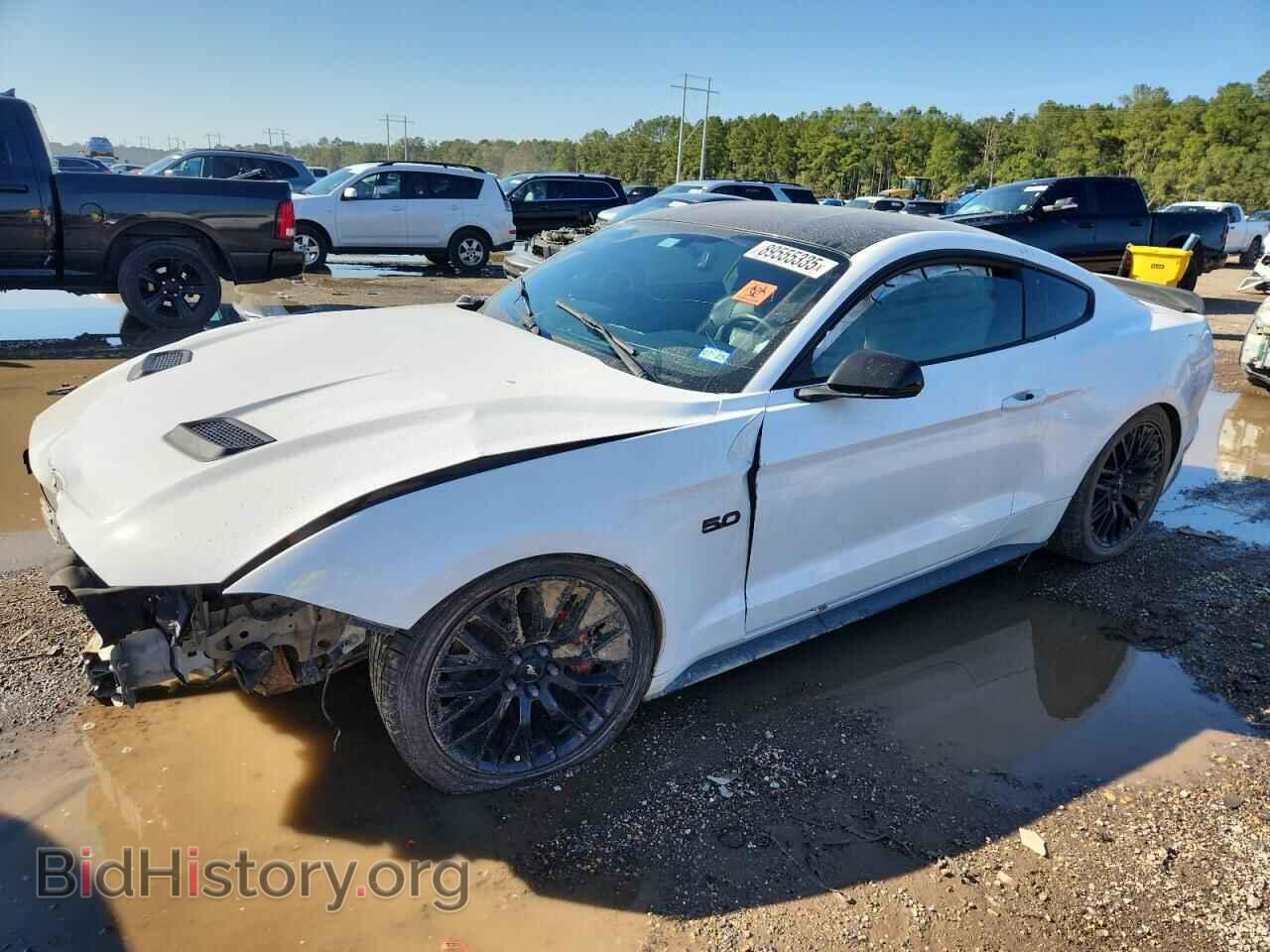 Фотография 1FA6P8CF0K5151663 - FORD MUSTANG 2019
