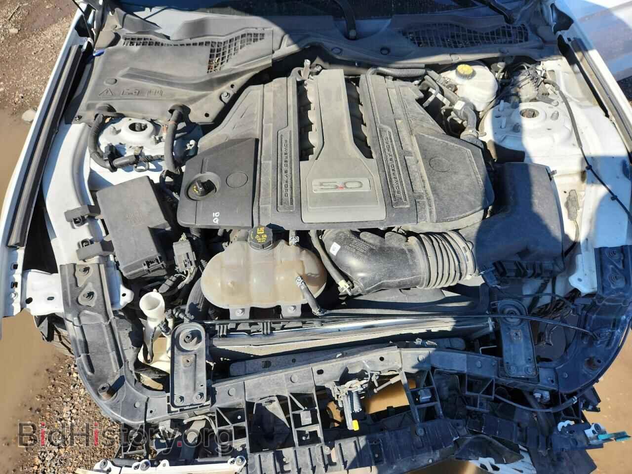 2019 FORD MUSTANG - VIN: 1FA6P8CF0K5151663 - Фото 11