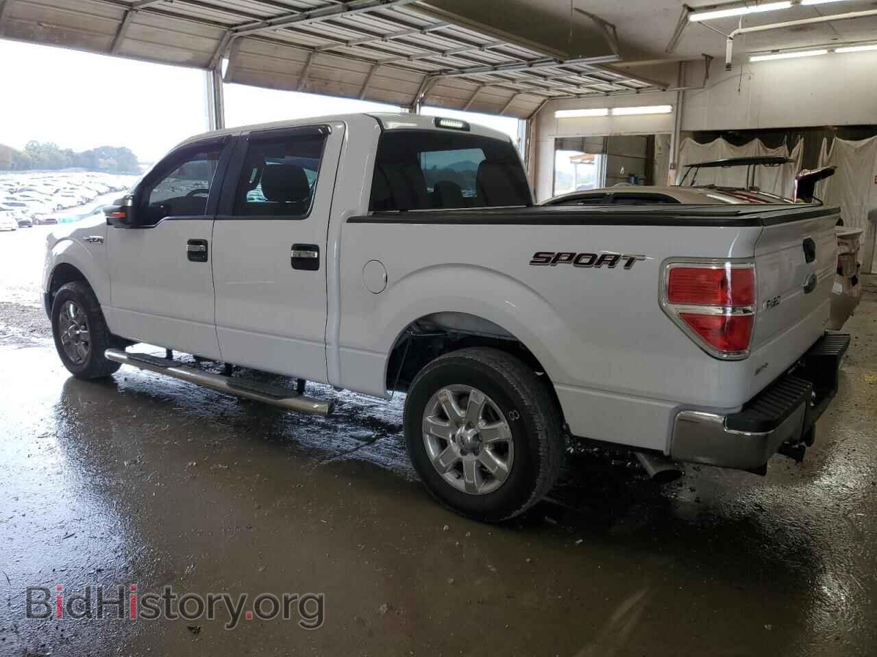 2013 FORD F-150 - VIN: 1FTFW1CF5DFD37586 - Фото 2