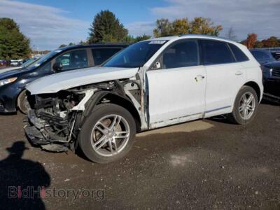 2014 Audi Q5 Premium Plus, white — VIN WA1LFAFP8EA083131, Copart