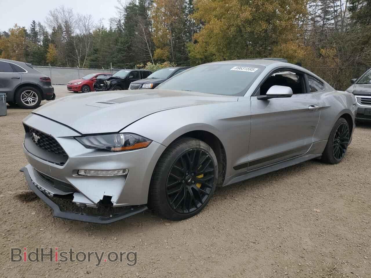 Photo 1FA6P8TH0M5113144 - FORD ALL Models 2021