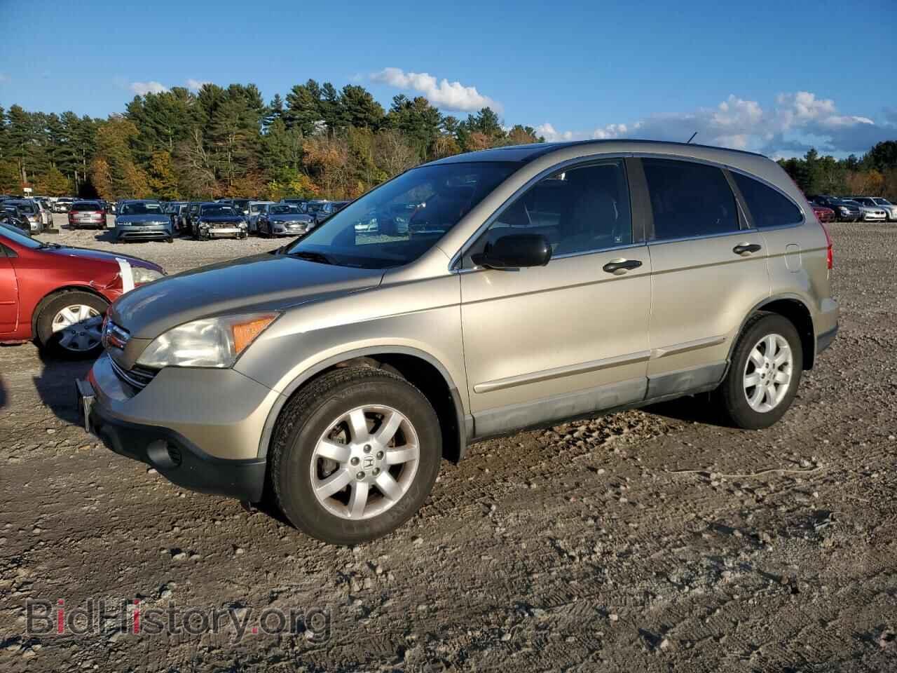 Photo 5J6RE48519L005259 - HONDA CRV 2009