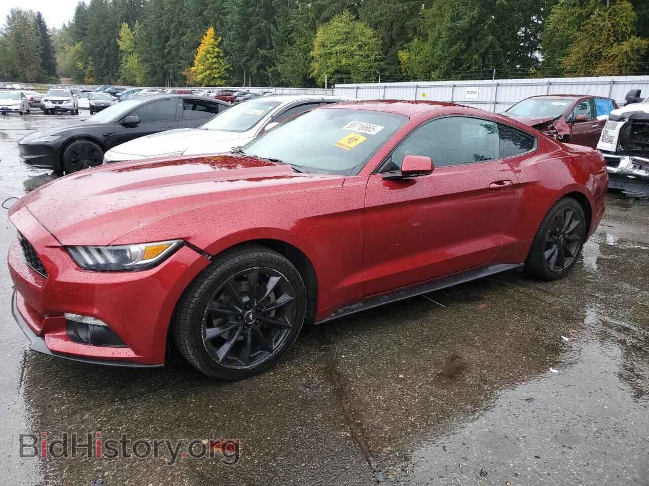 Фотография 1FA6P8TH3H5231209 - FORD ALL Models 2017