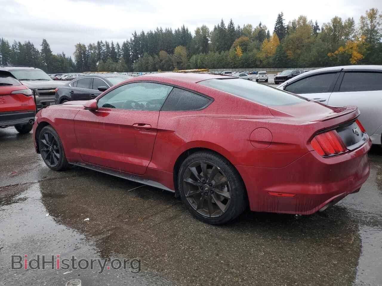 2017 FORD ALL Models - VIN: 1FA6P8TH3H5231209 - Photo 2