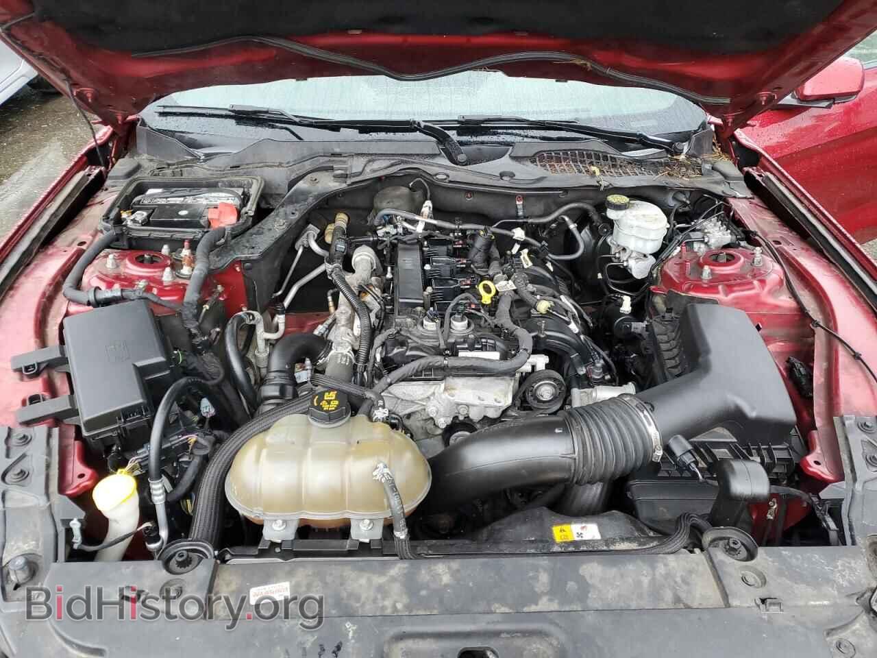 2017 FORD ALL Models - VIN: 1FA6P8TH3H5231209 - Photo 11