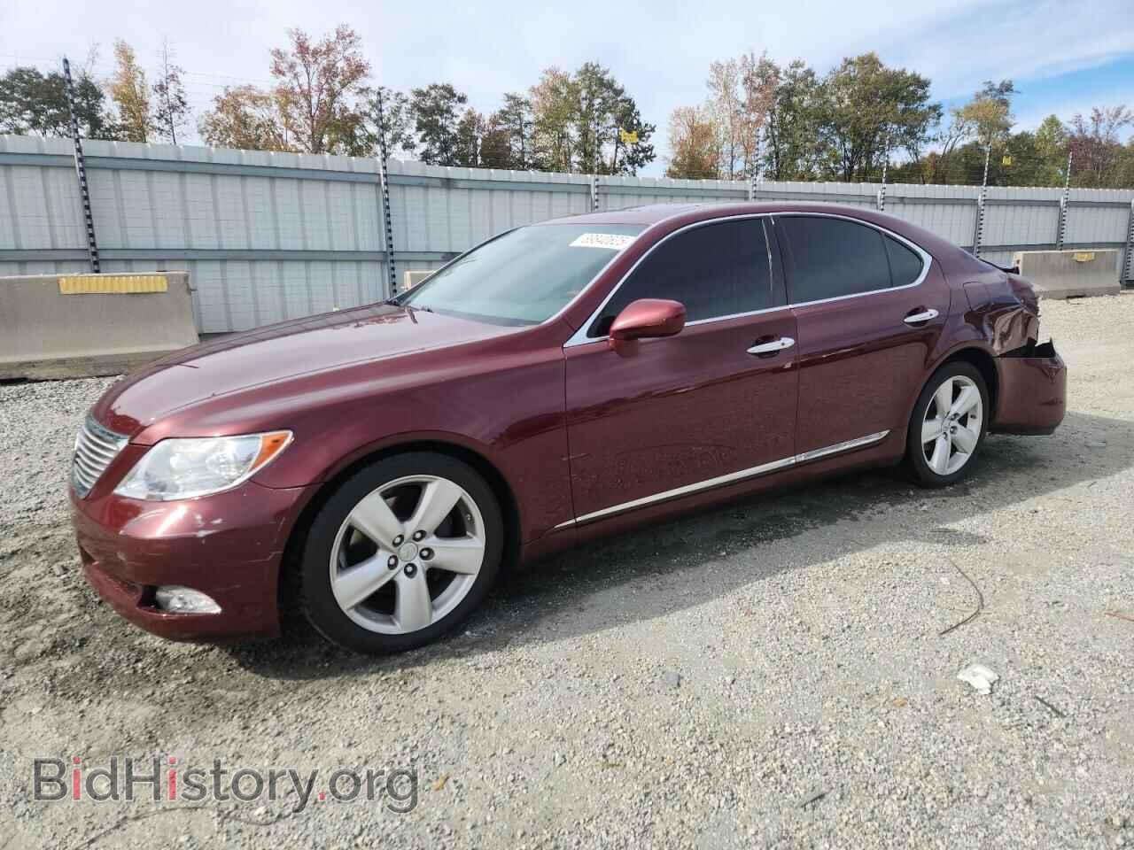 Фотография JTHBL46F785067730 - LEXUS LS460 2008