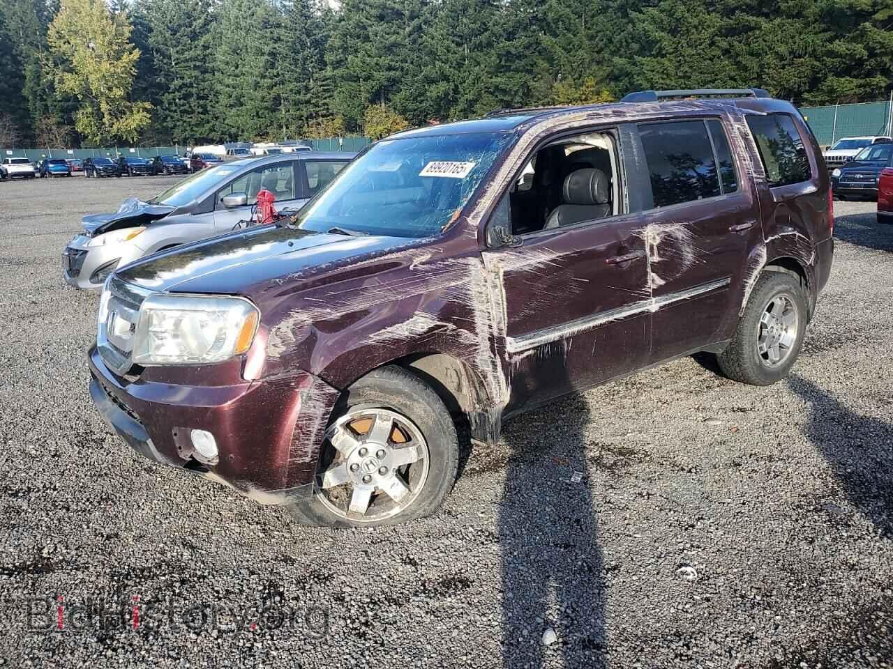 Фотография 5FNYF3H92AB002020 - HONDA PILOT 2010