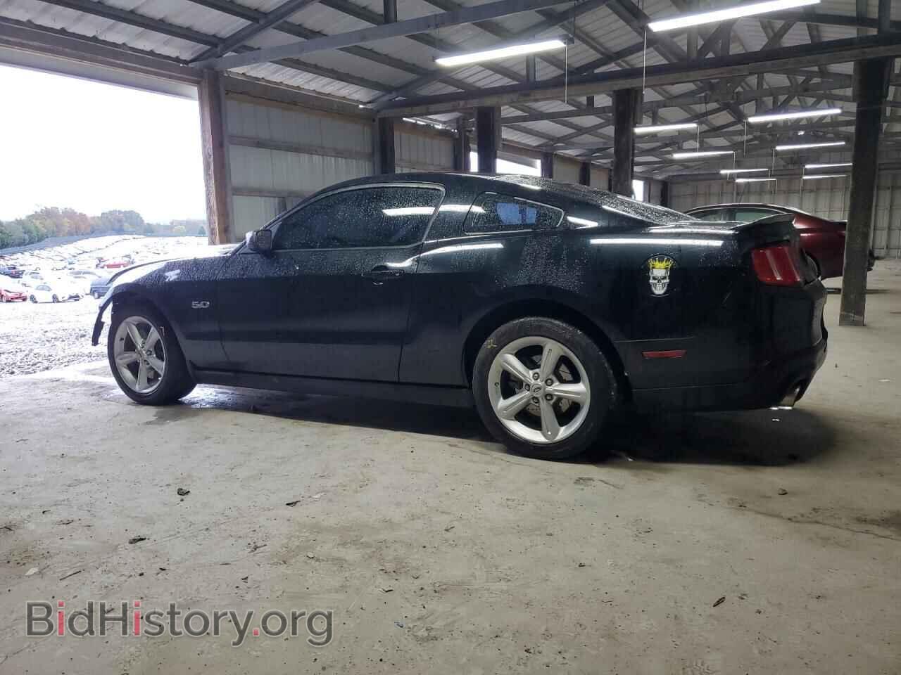 2012 FORD MUSTANG - VIN: 1ZVBP8CF0C5225736 - Фото 2