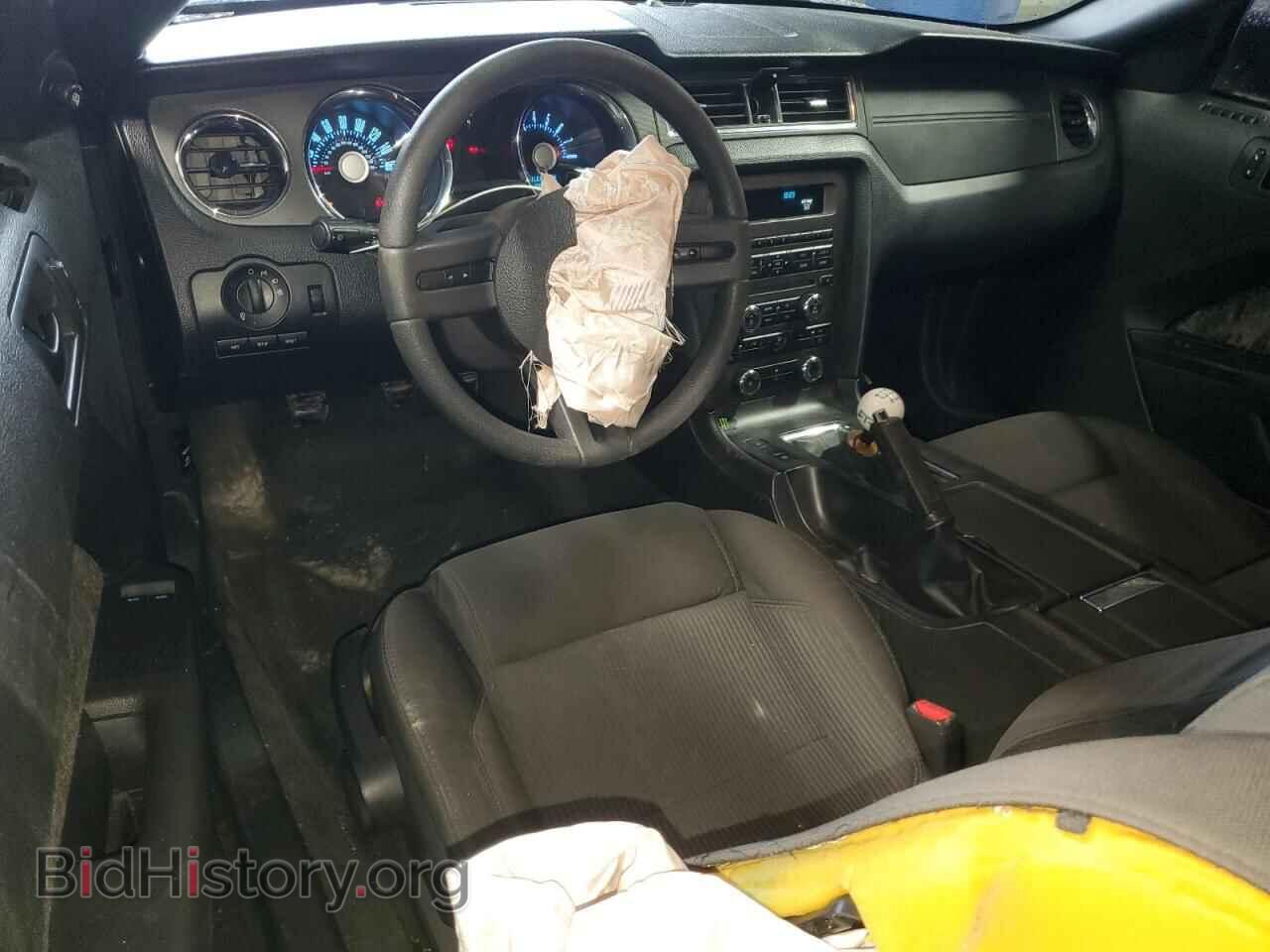 2012 FORD MUSTANG - VIN: 1ZVBP8CF0C5225736 - Фото 8