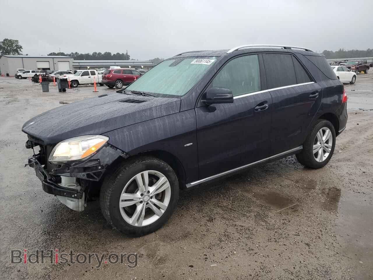 Photo 4JGDA5HB5CA059864 - MERCEDES-BENZ M-CLASS 2012