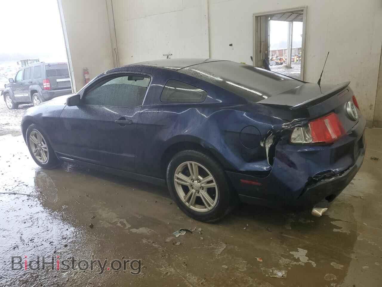 2011 FORD ALL Models - VIN: 1ZVBP8AMXB5128740 - Фото 2