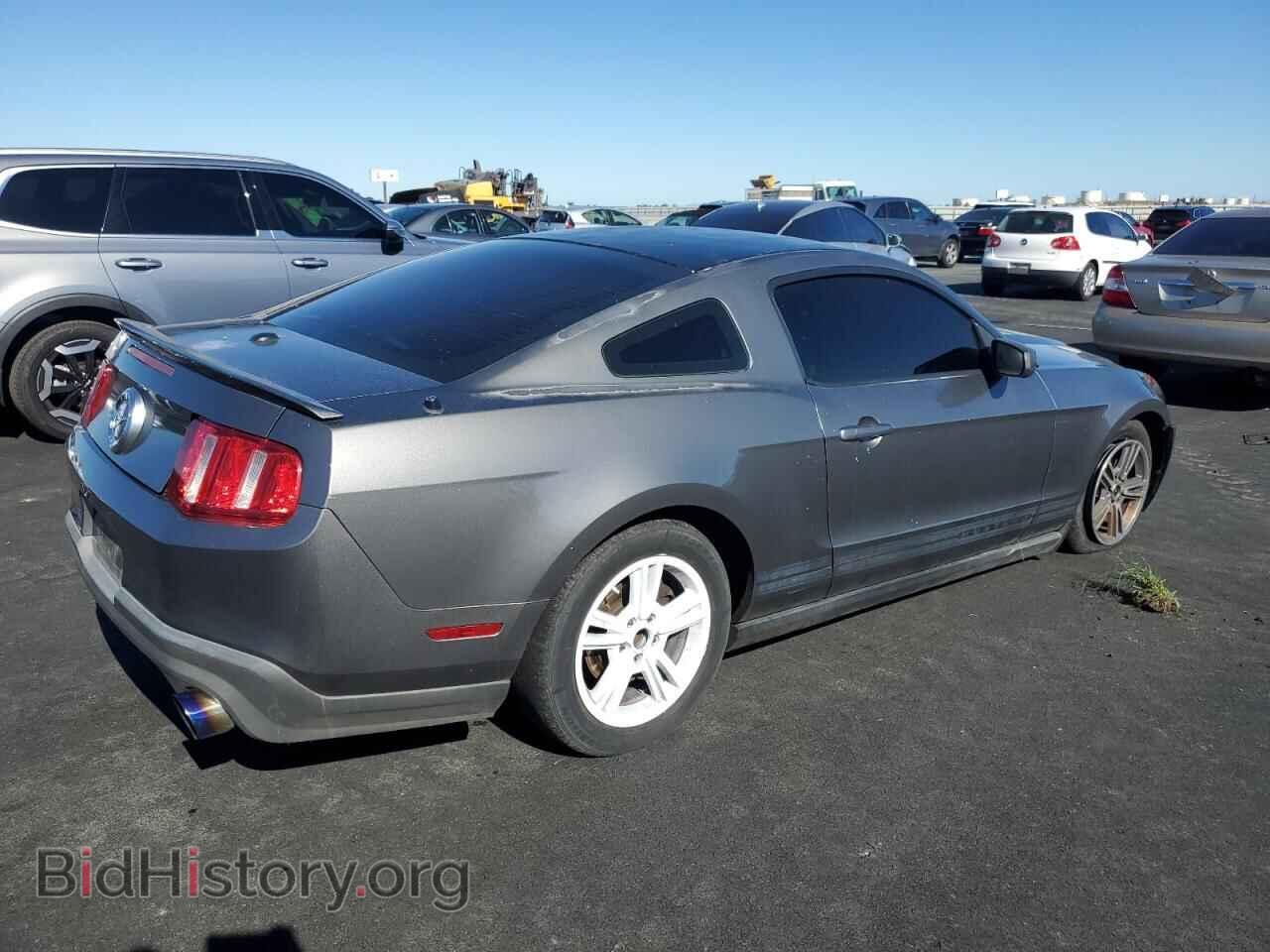 2010 FORD ALL Models - VIN: 1ZVBP8AN1A5166798 - Фото 3