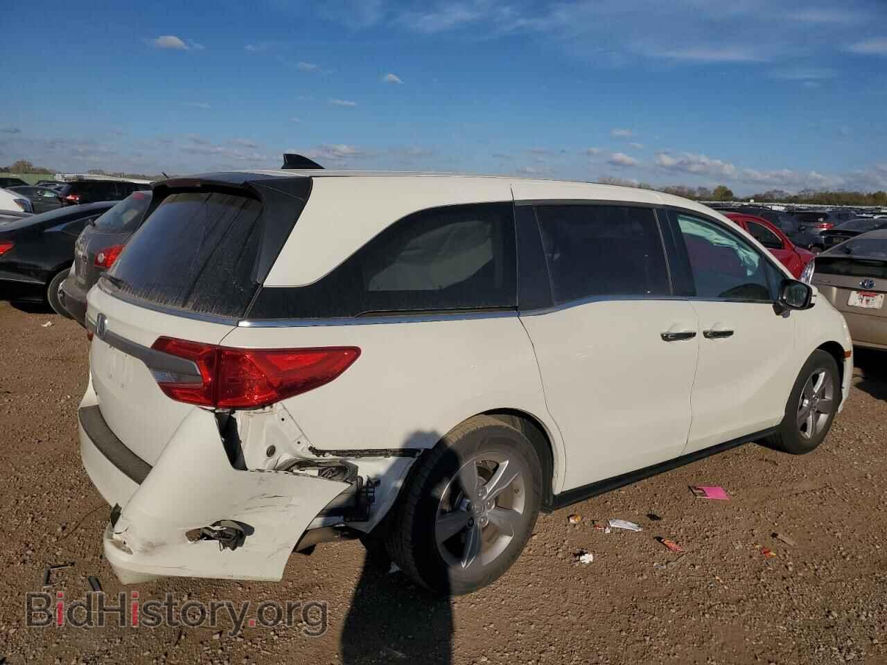 2019 HONDA All Models - VIN: 5FNRL6H75KB074036 - Фото 3