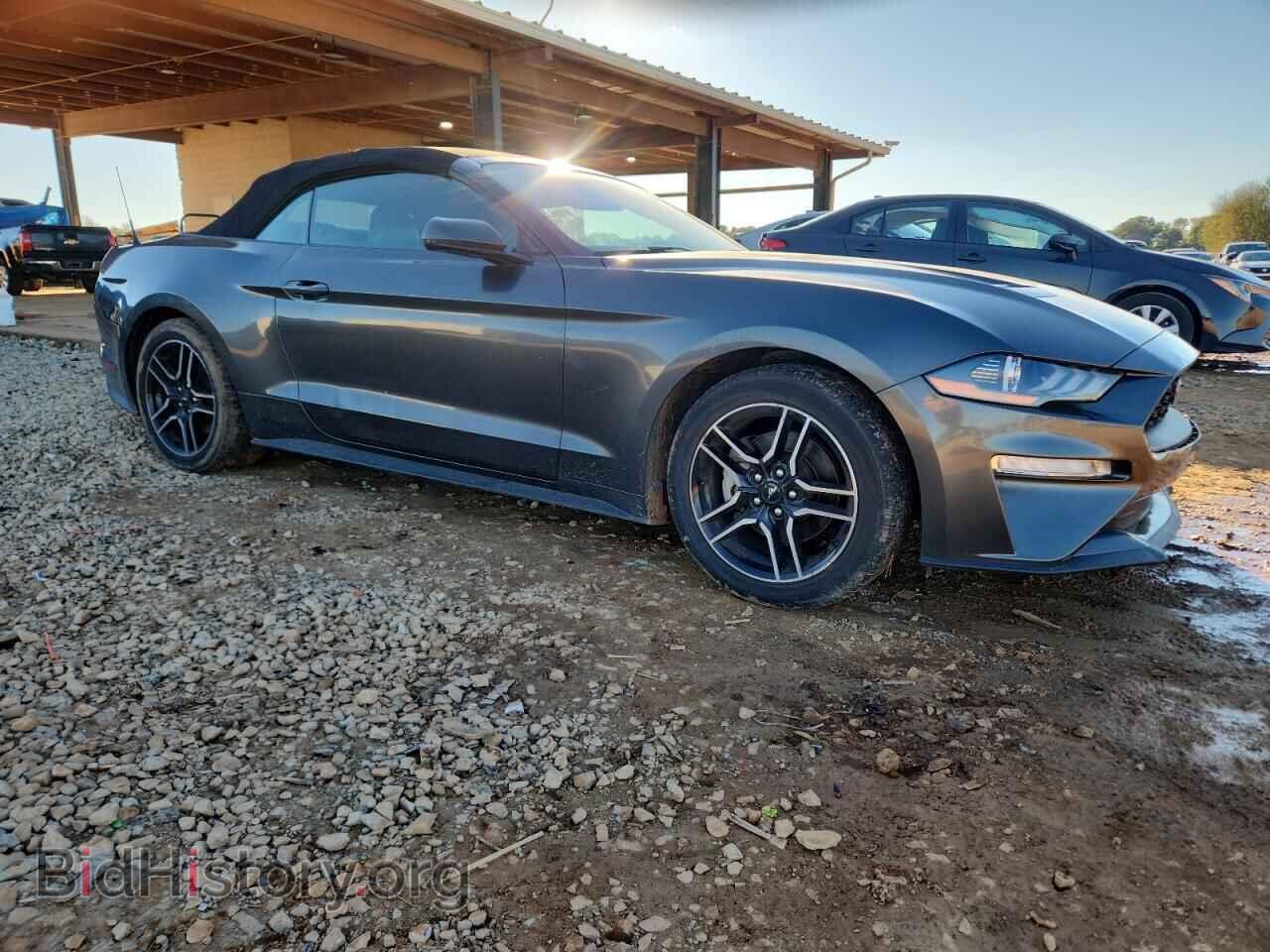 2020 FORD ALL Models - VIN: 1FATP8UH8L5134212 - Фото 4