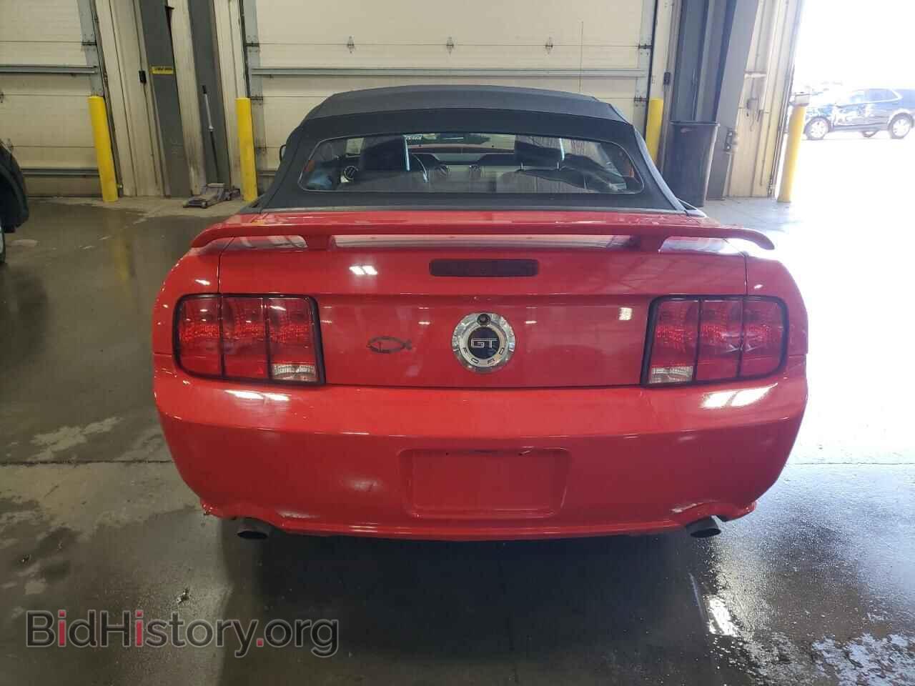 2005 FORD MUSTANG - VIN: 1ZVHT85H355188043 - Фото 6