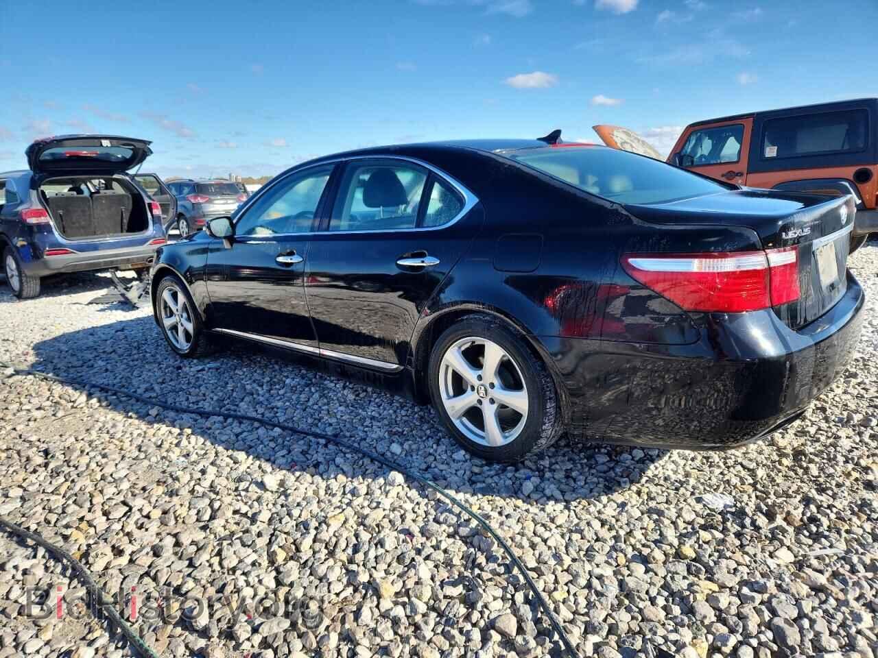 2008 LEXUS LS460 - VIN: JTHBL46F385065053 - Фото 2