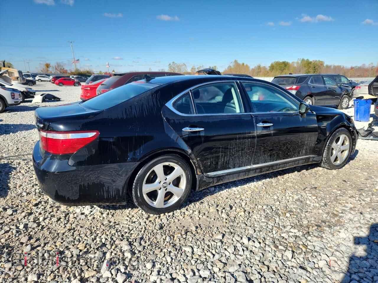 2008 LEXUS LS460 - VIN: JTHBL46F385065053 - Фото 3