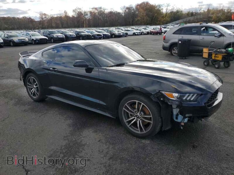 2017 Ford ALL MODELS (VIN 1FA6P8TH2H5304635) — фото 4 из 15