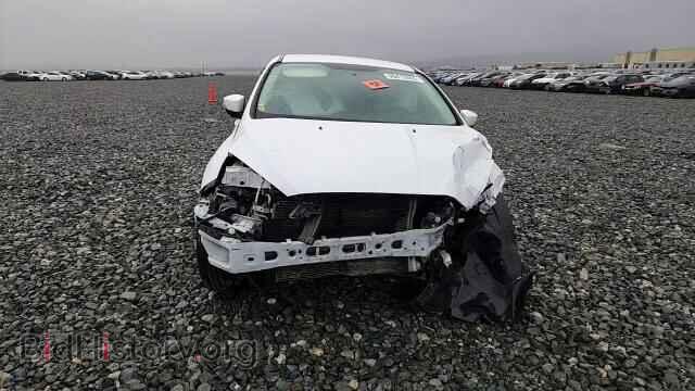 2016 FORD FOCUS - VIN: 1FADP3F21GL264205 - Photo 13