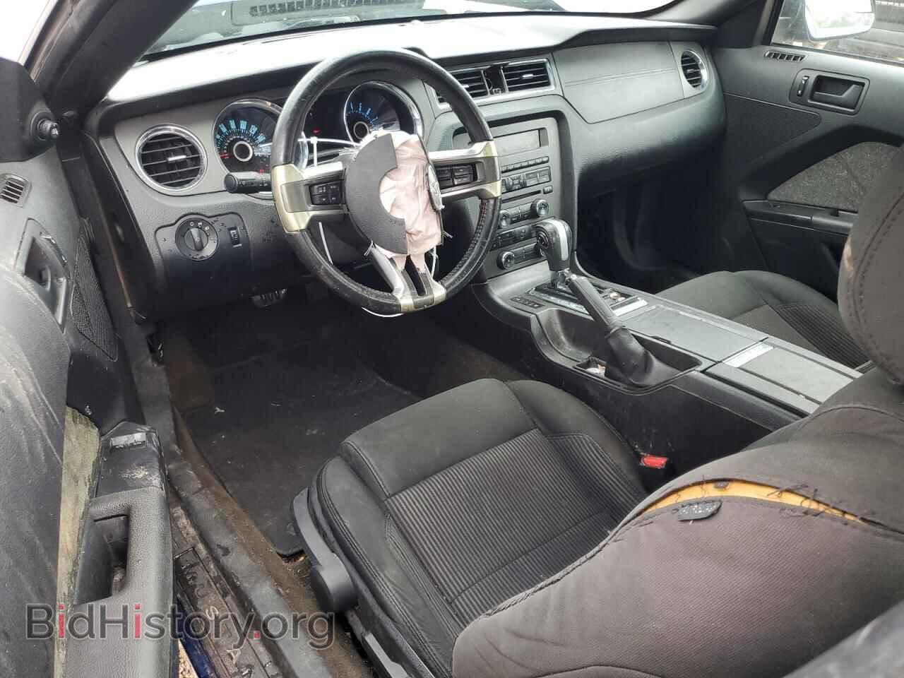 2013 FORD ALL Models - VIN: 1ZVBP8AM7D5259207 - Фото 8