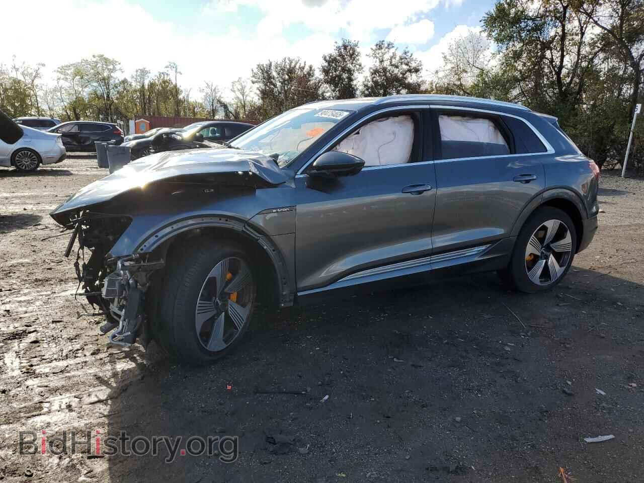 Photo WA1VAAGE2KB006605 - AUDI E-TRON 2019