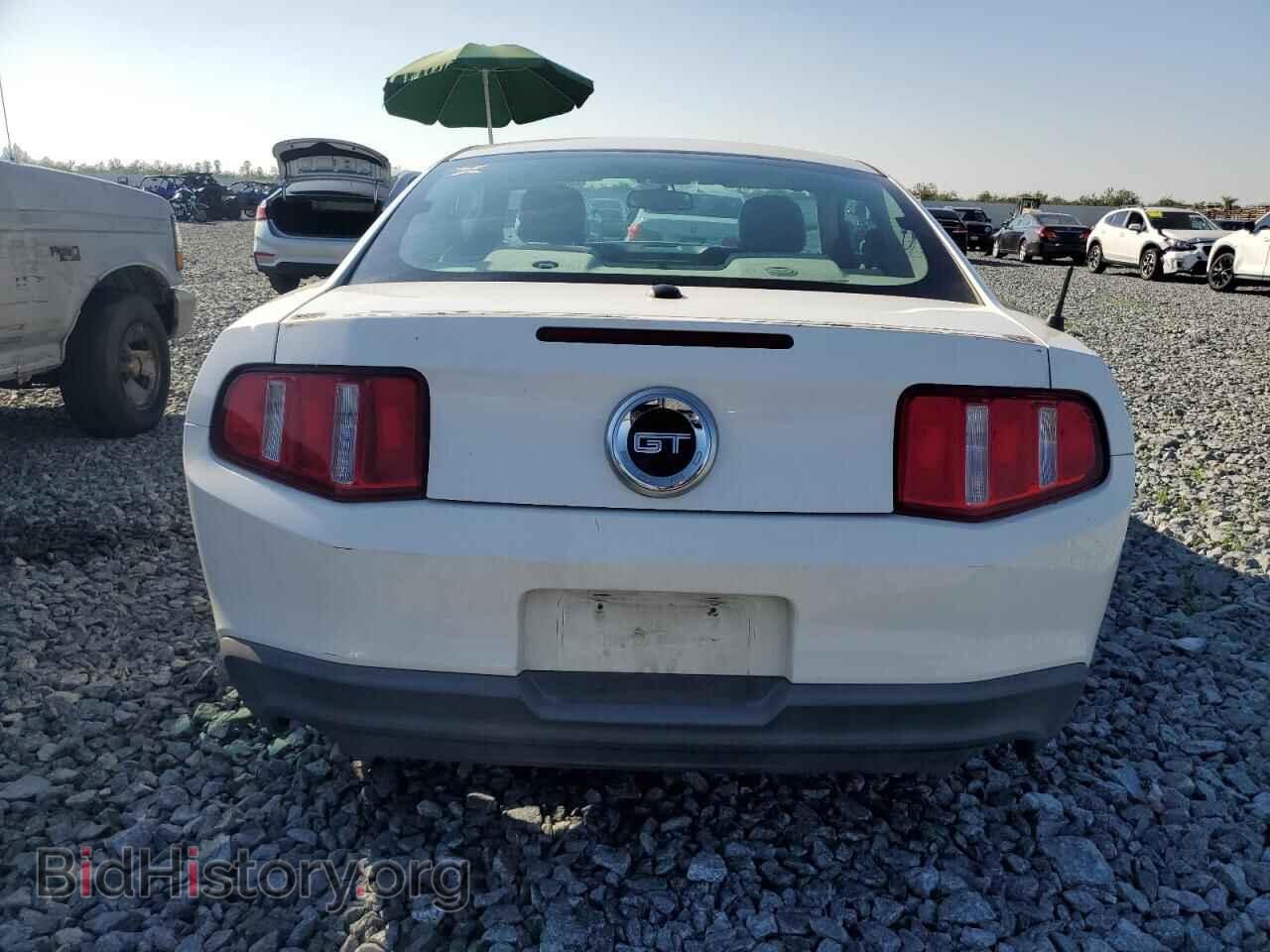 2010 FORD MUSTANG - VIN: 1ZVBP8CH2A5115317 - Фото 6