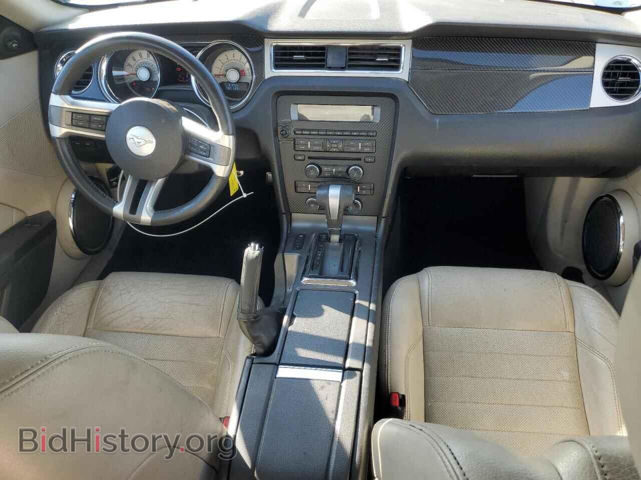 2010 FORD MUSTANG - VIN: 1ZVBP8CH2A5115317 - Фото 8