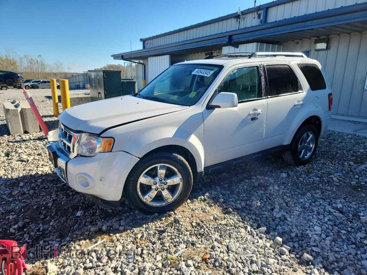 Фотография 1FMCU0EG4AKA45774 - FORD ESCAPE 2010