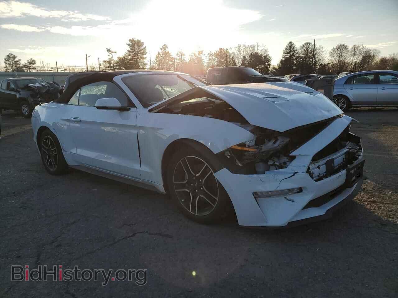 2020 FORD ALL Models - VIN: 1FATP8UH8L5131780 - Photo 4