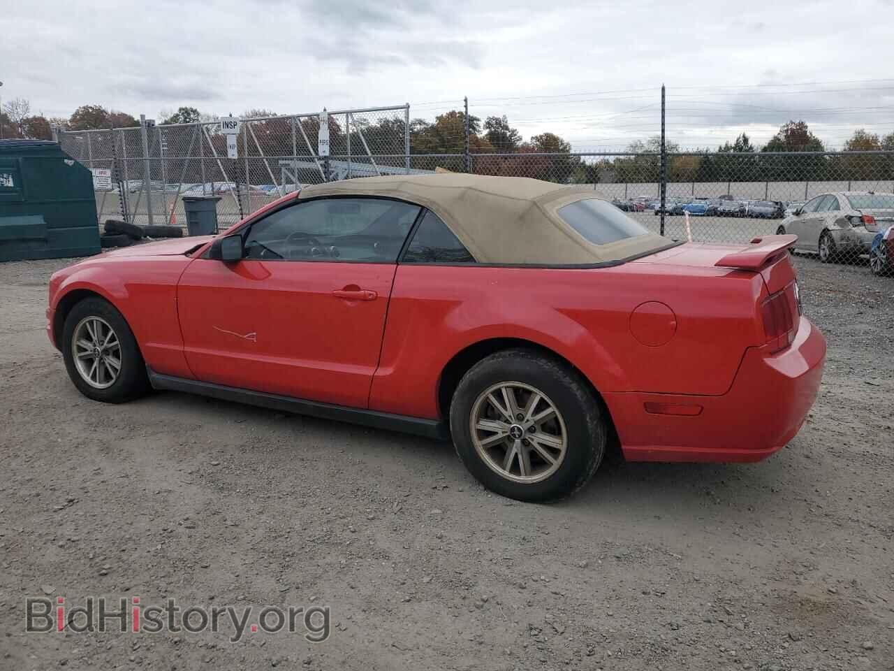 2005 FORD ALL Models - VIN: 1ZVFT84N655253949 - Фото 2