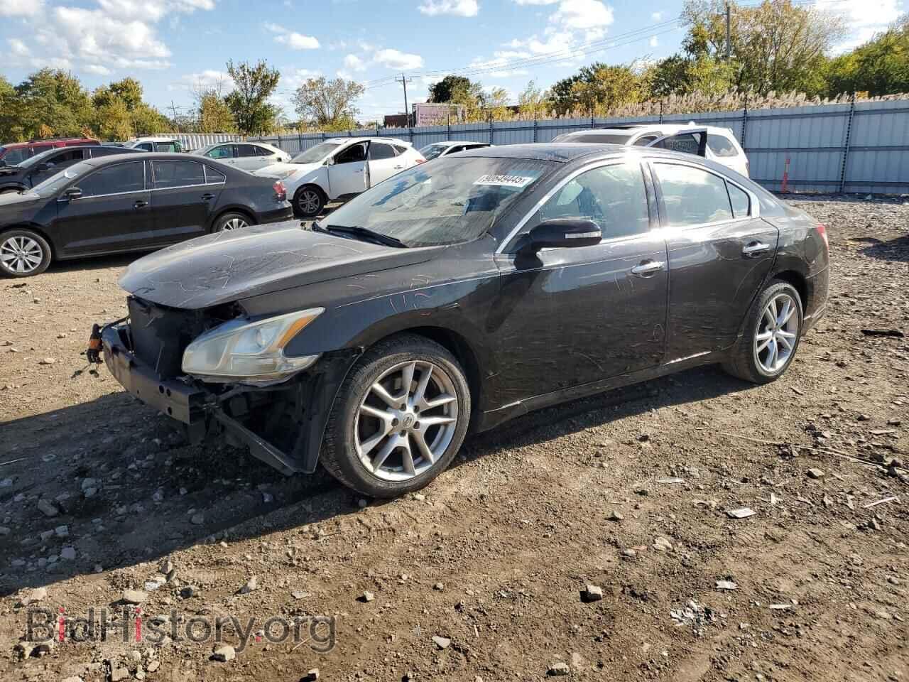 Фотография 1N4AA5AP8BC841405 - NISSAN MAXIMA 2011