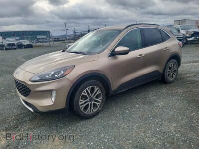 2020 Ford ESCAPE SEL, gold — VIN 1FMCU9H64LUA02356, Copart