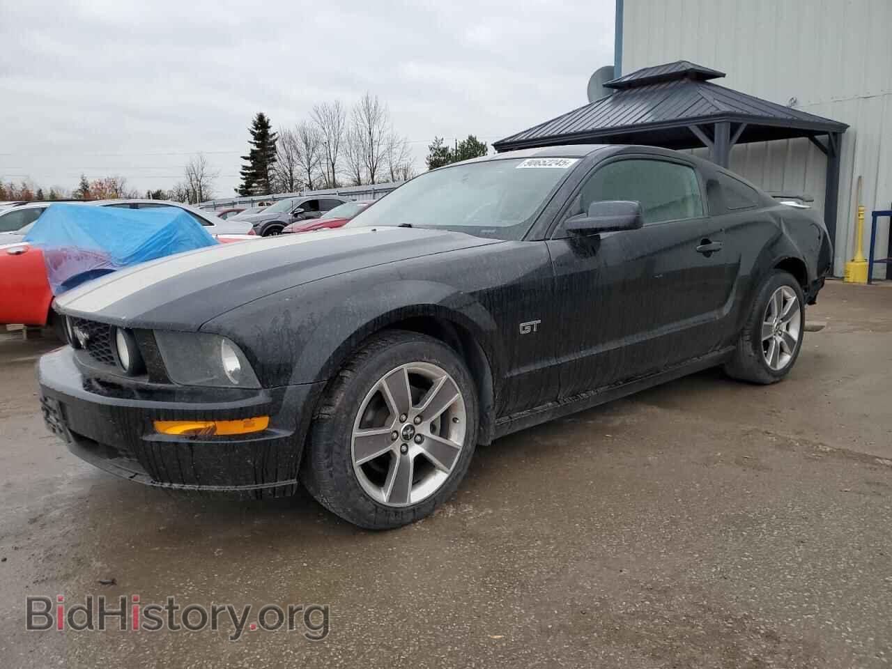 Фотография 1ZVHT82H285181741 - FORD MUSTANG 2008