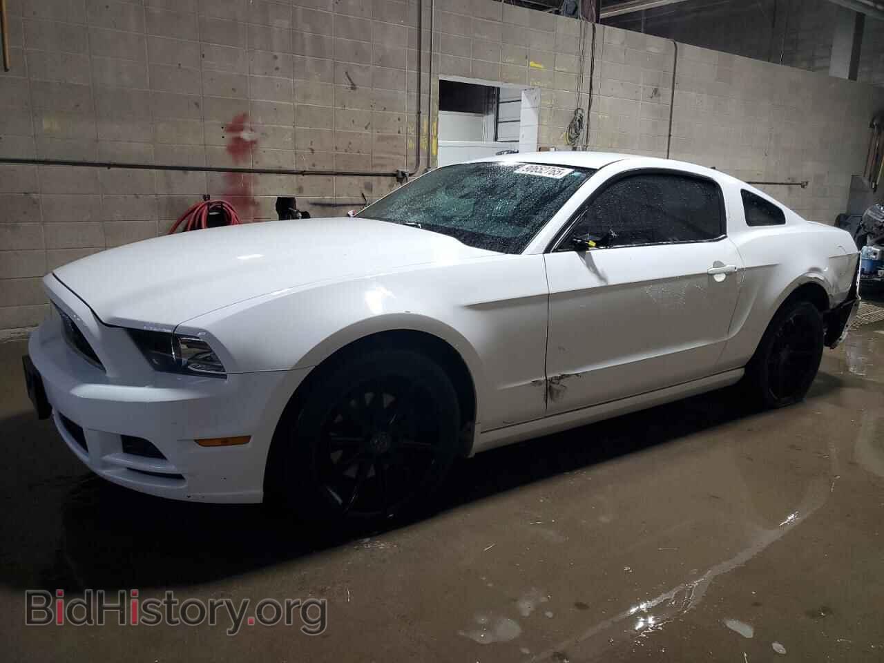 Фотография 1ZVBP8AM8E5216786 - FORD ALL Models 2014