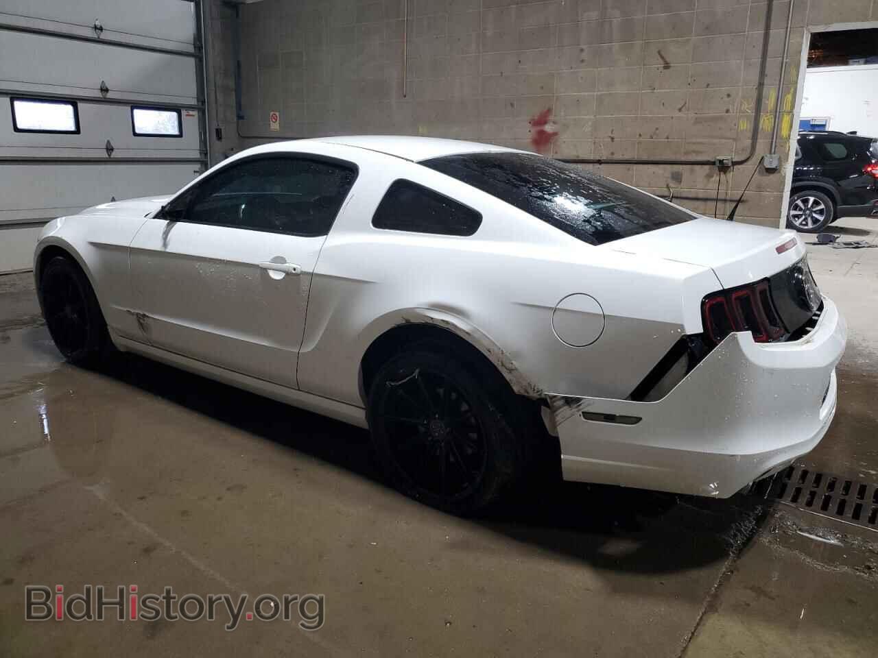 2014 FORD ALL Models - VIN: 1ZVBP8AM8E5216786 - Фото 2