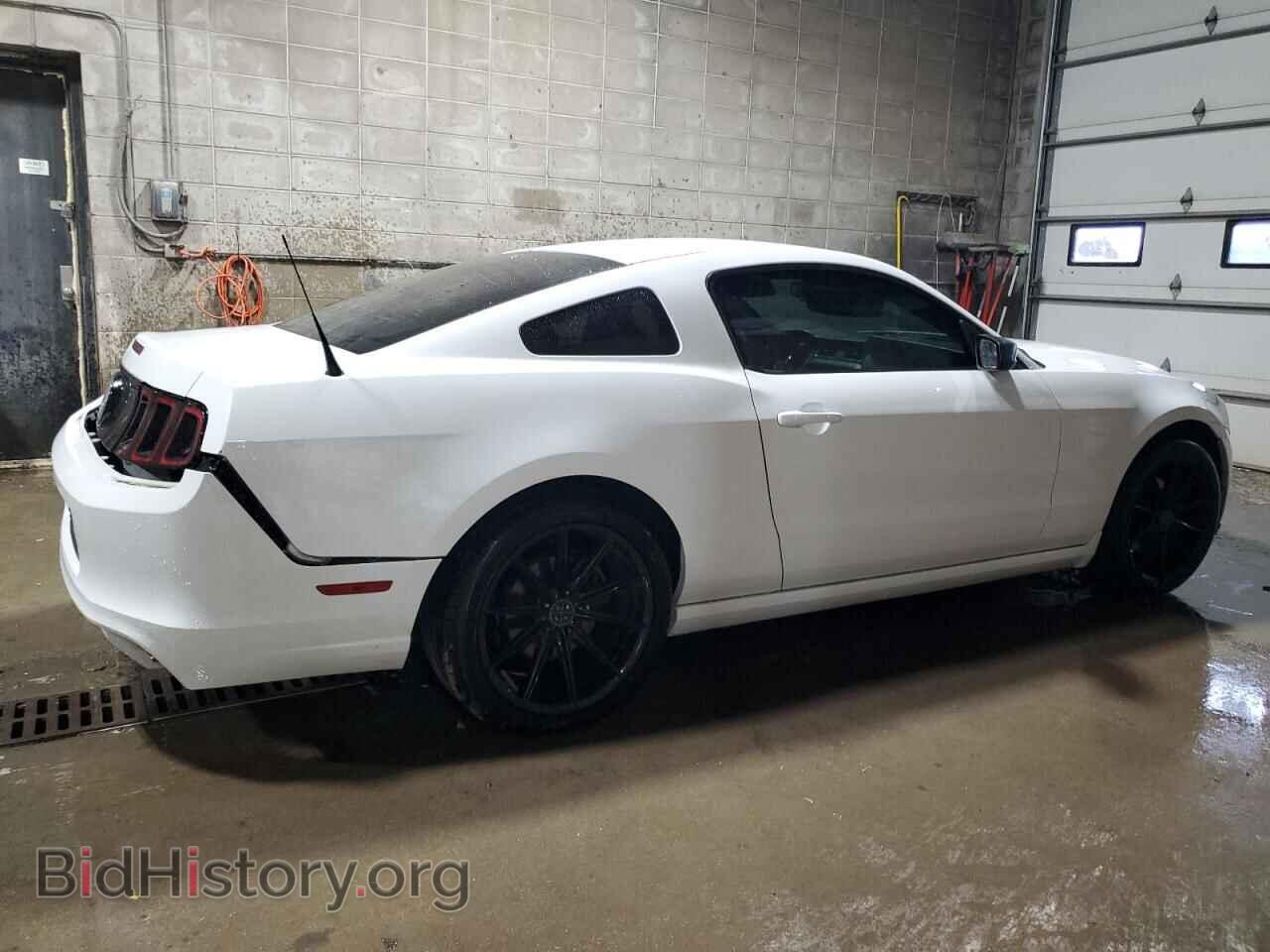 2014 FORD ALL Models - VIN: 1ZVBP8AM8E5216786 - Фото 3